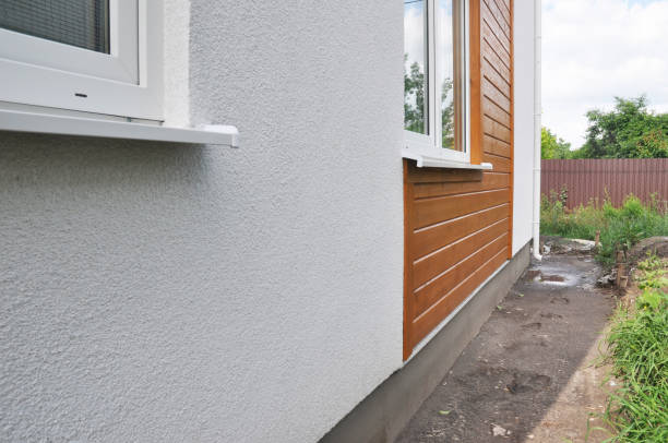 Best Siding Removal and Disposal  in Mckenzie, TN
