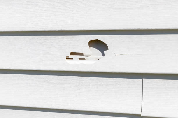 Best Wood Siding Installation  in Mckenzie, TN