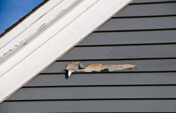 Best Weatherproofing and Sealing  in Mckenzie, TN