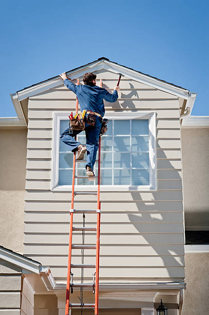 Best Brick Veneer Siding  in Mckenzie, TN
